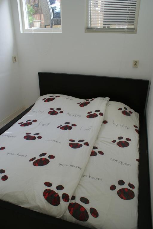 Continentaiz Appartement Зандфорт Номер фото